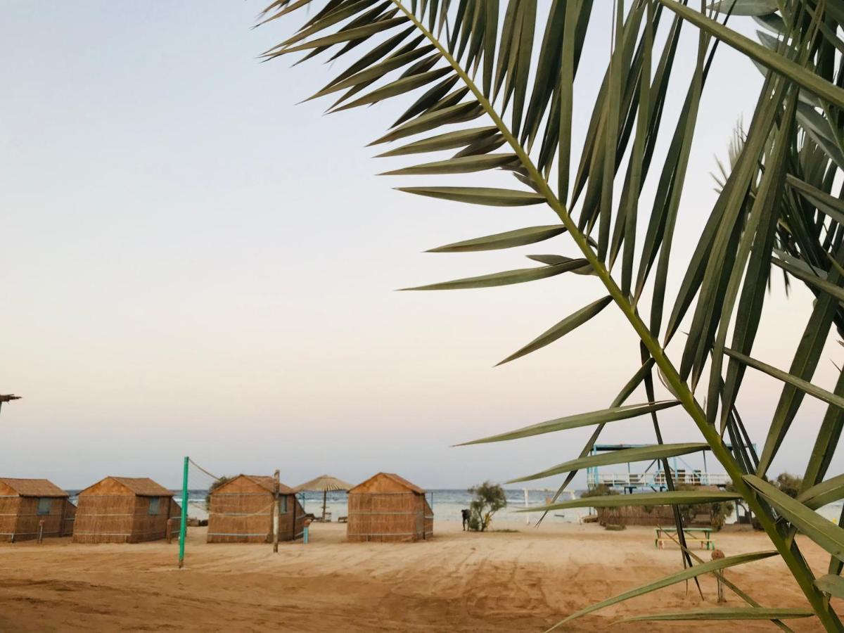 Half Moon Camp Hotel Taba Exterior photo